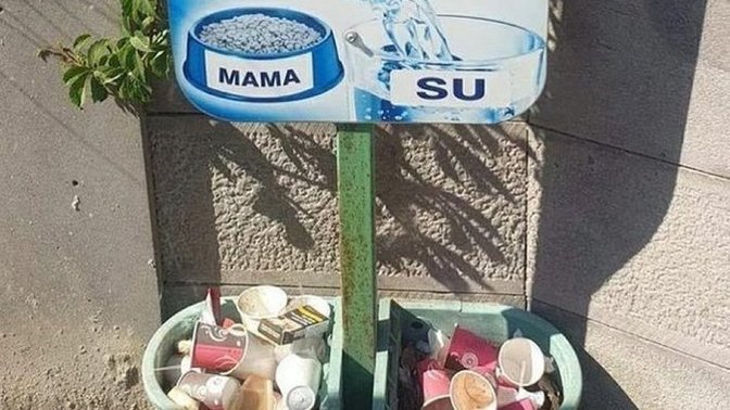 Sokak hayvanları için konan kaplara çöp atanlara ne demek istersiniz?