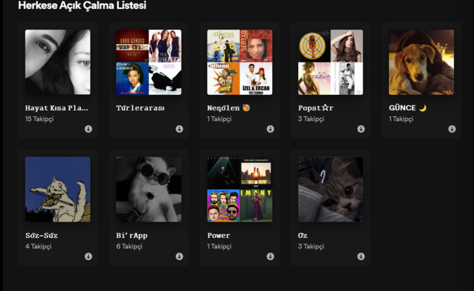 Müzik listeniz ağırlıklı olarak yabancı mı Türkçe mi?