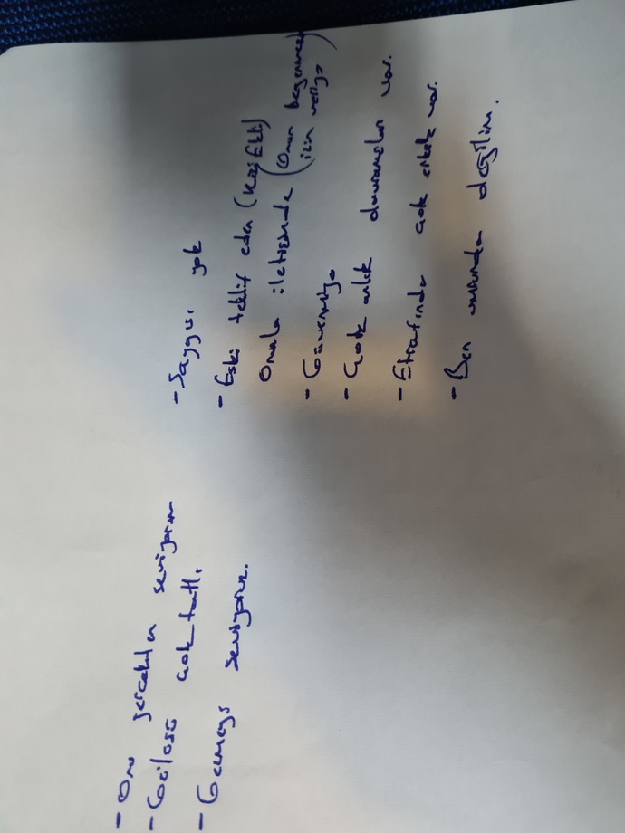 İyi yanları solda kotu yanlarimizi saga yazdim ya ben onu cok seviyorum?