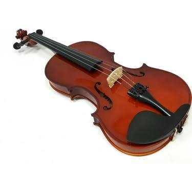 Müzik aletlerinden en sevdiğiniz hangisidir?