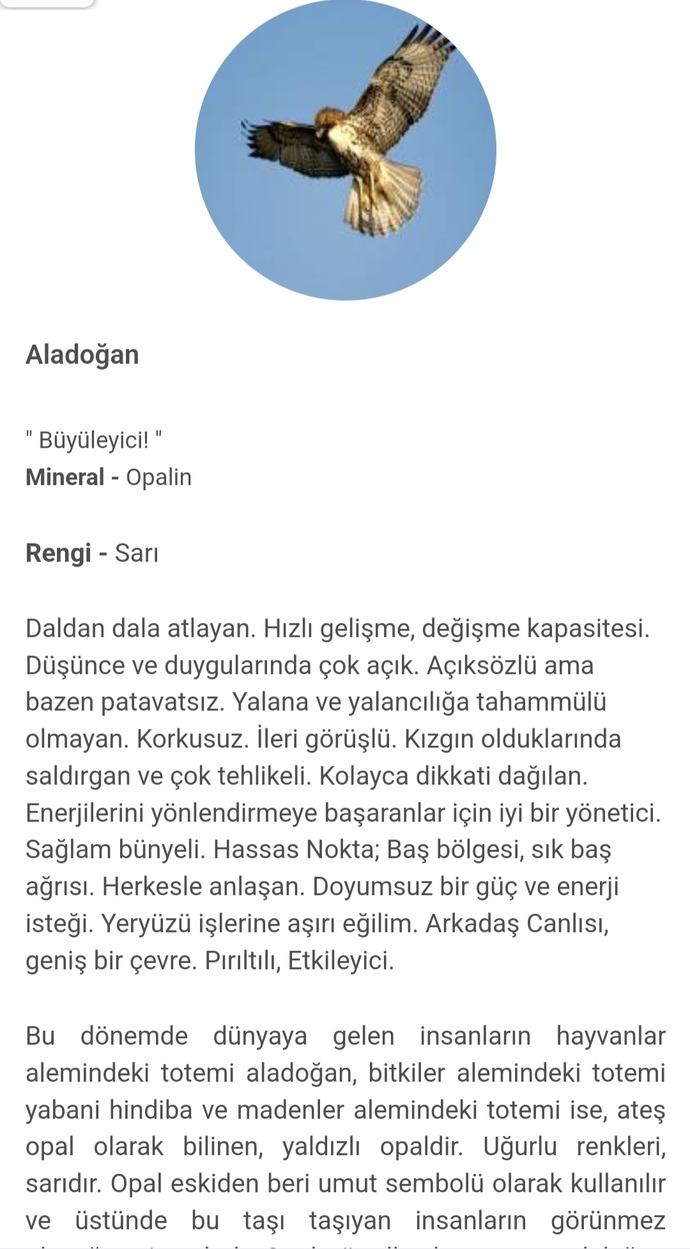Kızıl derili burcunuza baktınız mı?