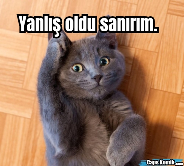 Sevgiliniz var mı yok mu tahmin edeyim mi?