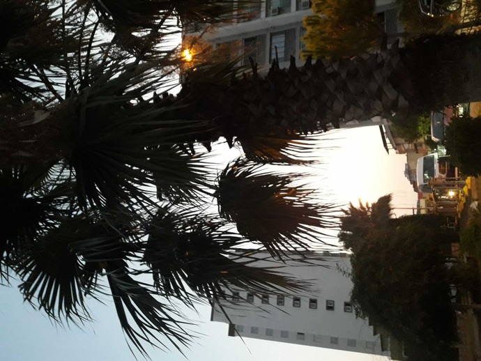Galerinizdeki son fotoğrafta ne var?