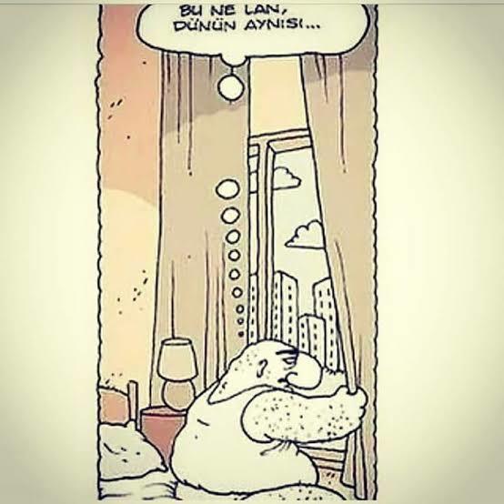 Bugün 1 Ağustos kendinizi nasıl hissediyorsunuz 🥳?