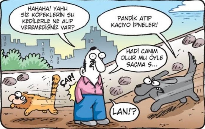 Kedileri mi seviyorsun yoksa köpekleri mi?