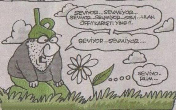 Hiç papatya falına baktınız mı?