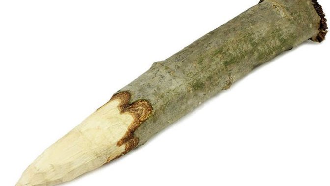 Dost kazığı yiyenler burada mı?