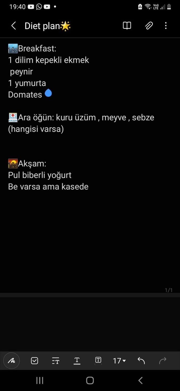 Bu diyet ile 1 ayda kac kilo verilir?