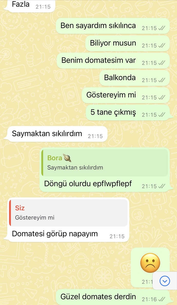 Bu niye böyle davranıyor?