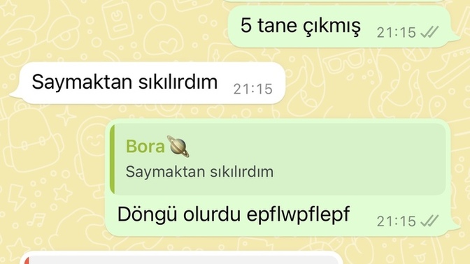 Bu niye böyle davranıyor?