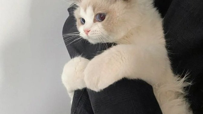 Şu an kime sarılmak isterdiniz?