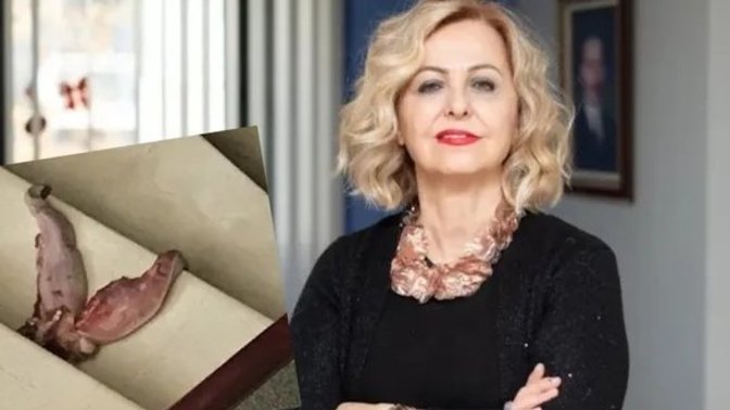 Aşı karşıtları Esin Şenol'a dana dili bıraktı! Covid aşısının faydasına inanıyor musunuz?