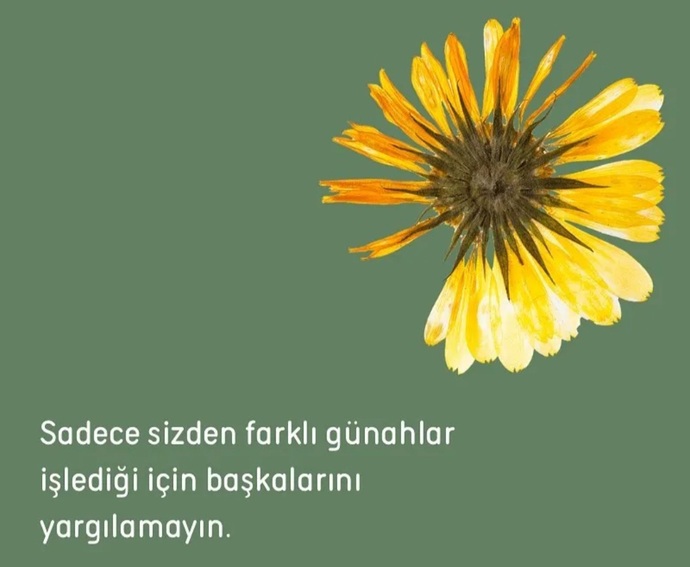 Yargı dağıtmayı seviyor musunuz?