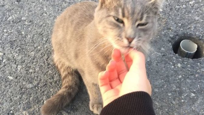 Soru sormak mı önemli cevabı almak mı?