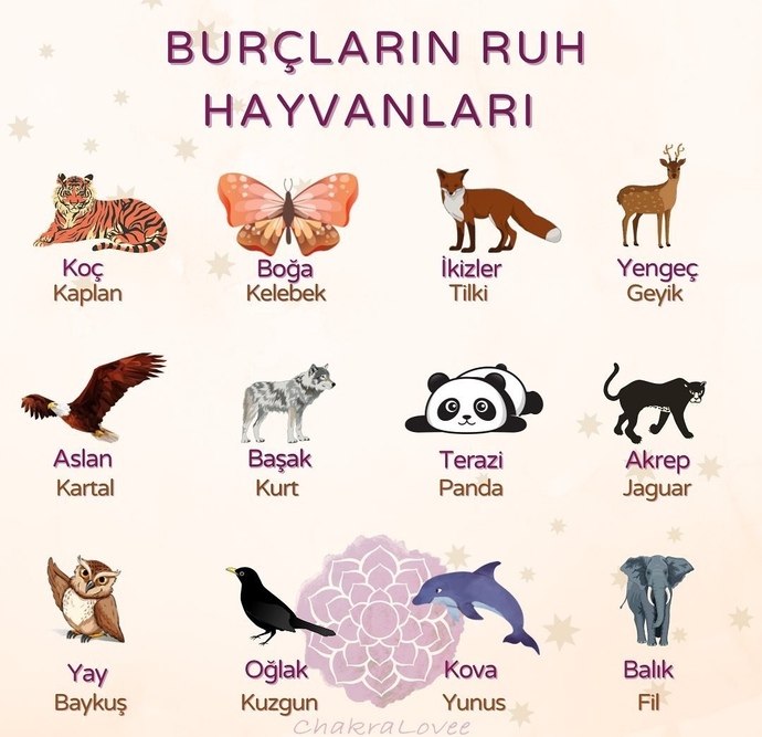 Ruh hayvanınız sizi yansıtıyor mu?
