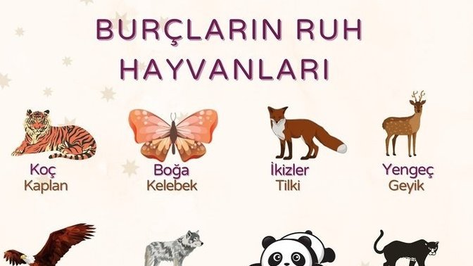 Ruh hayvanınız sizi yansıtıyor mu?