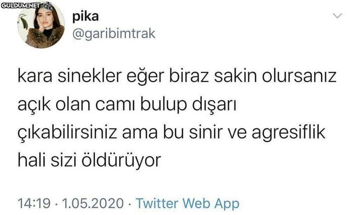 Sivrisineklerle aranız nasıl?