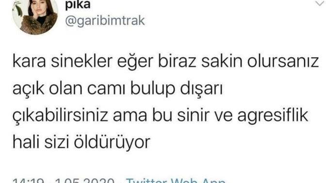 Sivrisineklerle aranız nasıl?