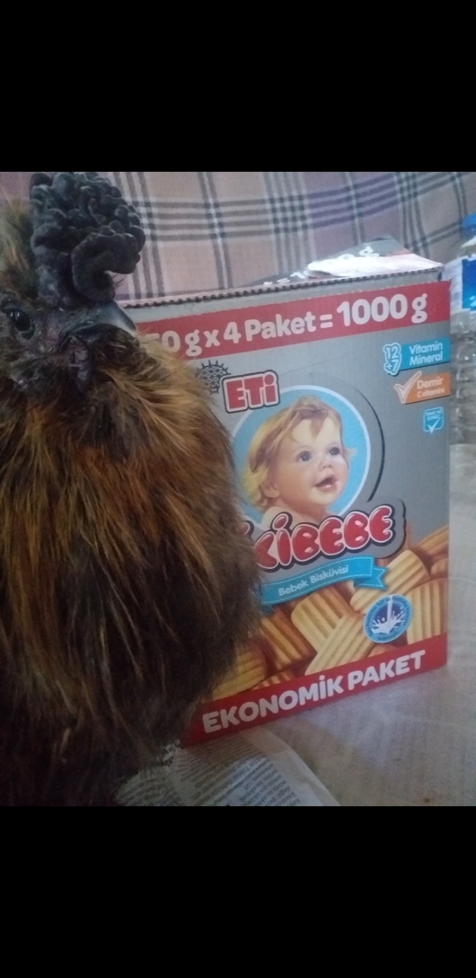 Bu da hediyesi en sevdiği biskuvi 😀