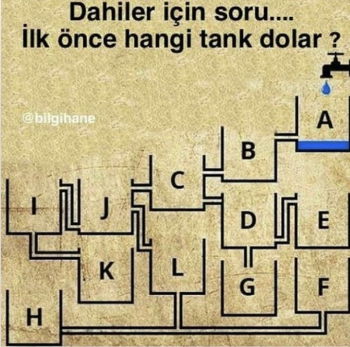 İlk önce hangisi dolar🧐?