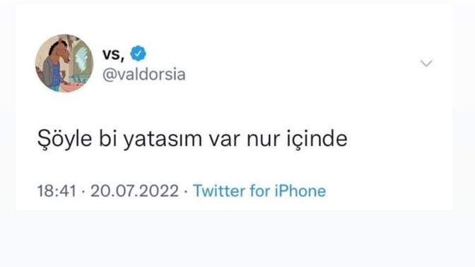 Yapmak isteyipte yapamadığınız neler var?
