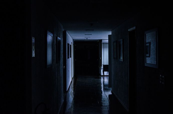 Gece salondan gürültü gelse kalkıp bakabilir misiniz?