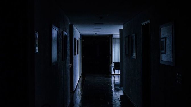 Gece salondan gürültü gelse kalkıp bakabilir misiniz?