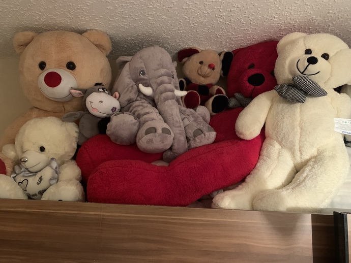 Peluş oyuncağınız var mı?