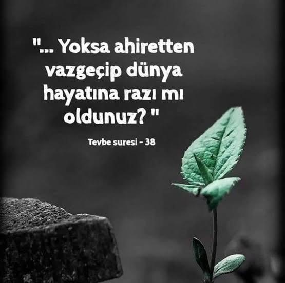 İnsanlar neden dünyaya düşkün yaşıyor?