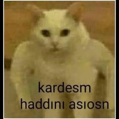 Türk erkekleri neden kendilerini padisah saniyor?