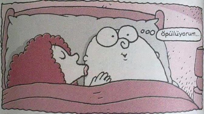 Ömür boyu sanat?