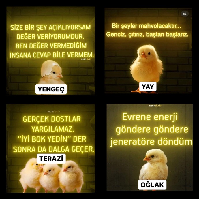 Burç civcivileri yine coştu 😂 Senin civcivin ne öttü🐥?