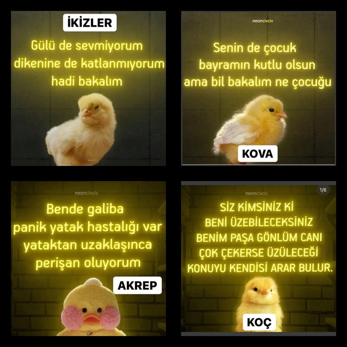 Burç civcivileri yine coştu 😂 Senin civcivin ne öttü🐥?