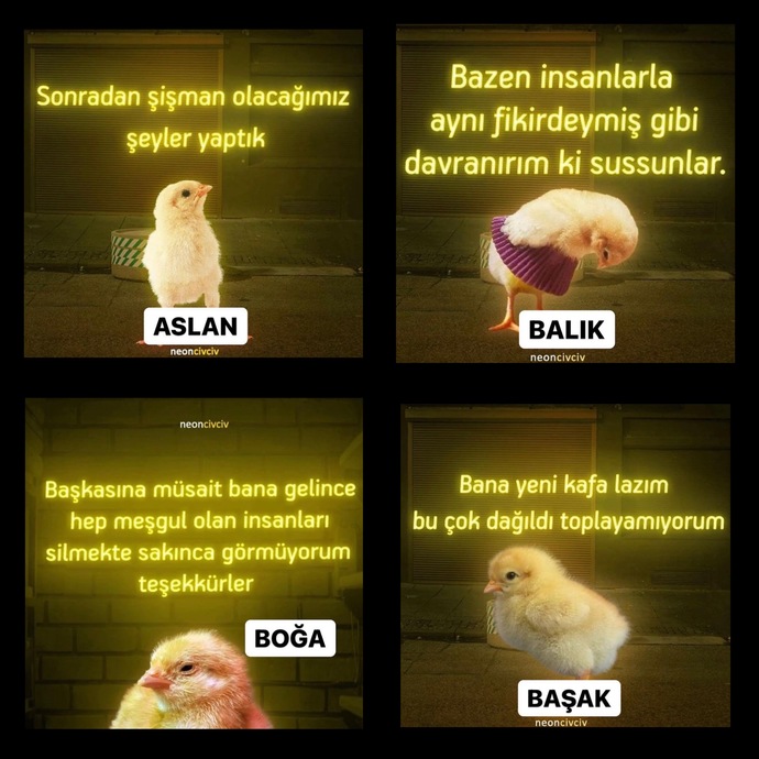 Burç civcivileri yine coştu 😂 Senin civcivin ne öttü🐥?