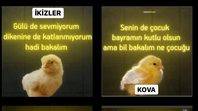 Burç civcivileri yine coştu 😂 Senin civcivin ne öttü🐥?