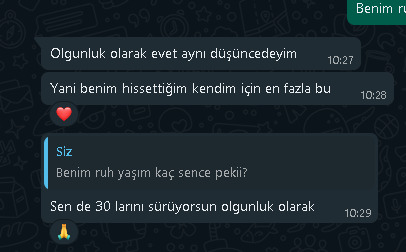 Olgun Bir Kadın Nasıl Baştan Çıkartılır?