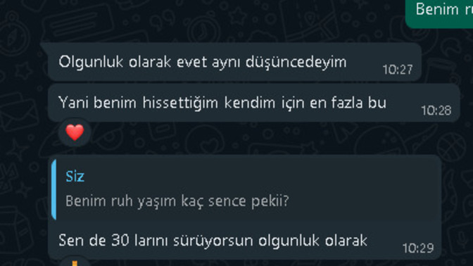 Olgun Bir Kadın Nasıl Baştan Çıkartılır?