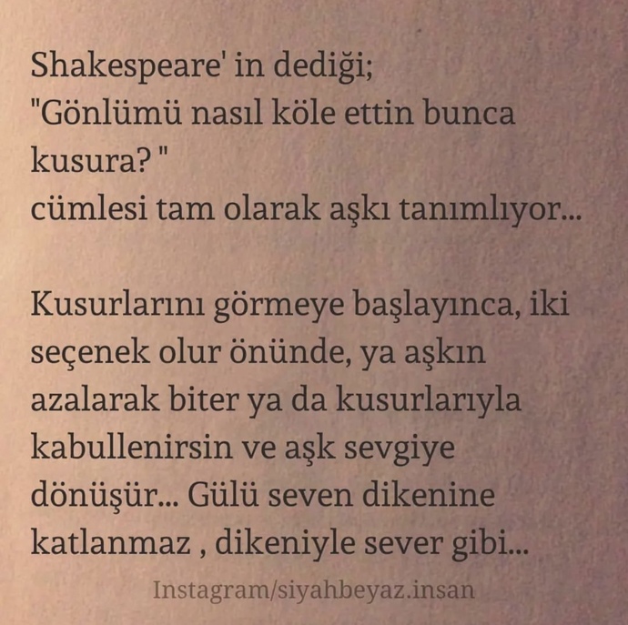 Bu söz tam olarak ne anlama geliyor aciklarsaniz cok sevinirim. Türkcem cok iyi degil?