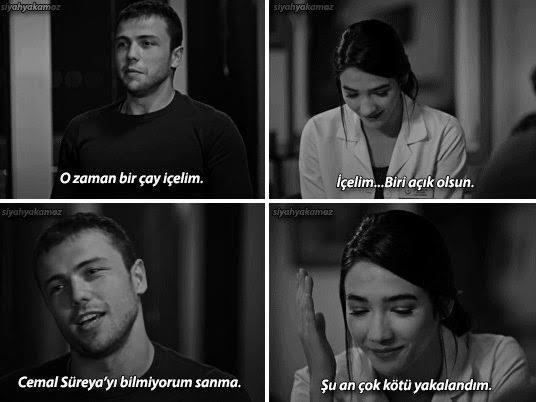 En güzel aşklar nasıl başlar?