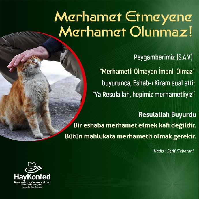 Bu sıcak yaz günlerinde kapınızın önüne bir tas su koyuyor musunuz?
