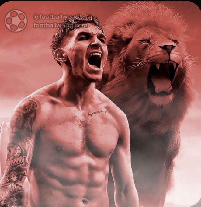 Galatasarayda Torreira ve Mertens bitti! Sırada Evander var deniyor. Sizce Patron çıldırdı mi sonunda 😂?