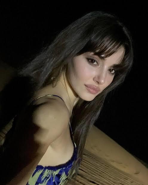 Hande Erçel