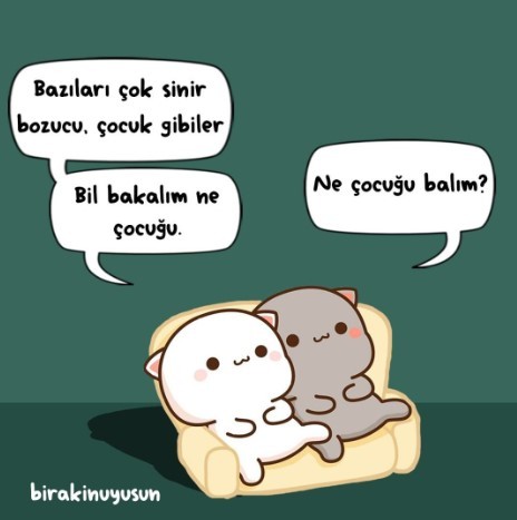 Sinirinizi bozanlar var mı?