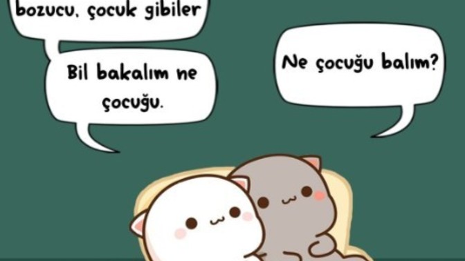Sinirinizi bozanlar var mı?