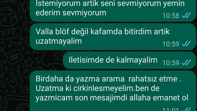 Bu mesaji alsaniz napardiniz?