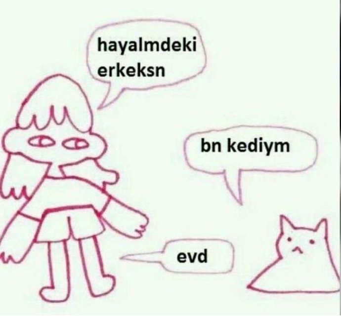 Bu kediyle sizce ne konuşmuşuzdur?