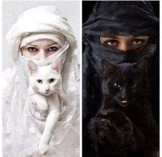 Her şey kirlenirken temiz kalınamaz mı?