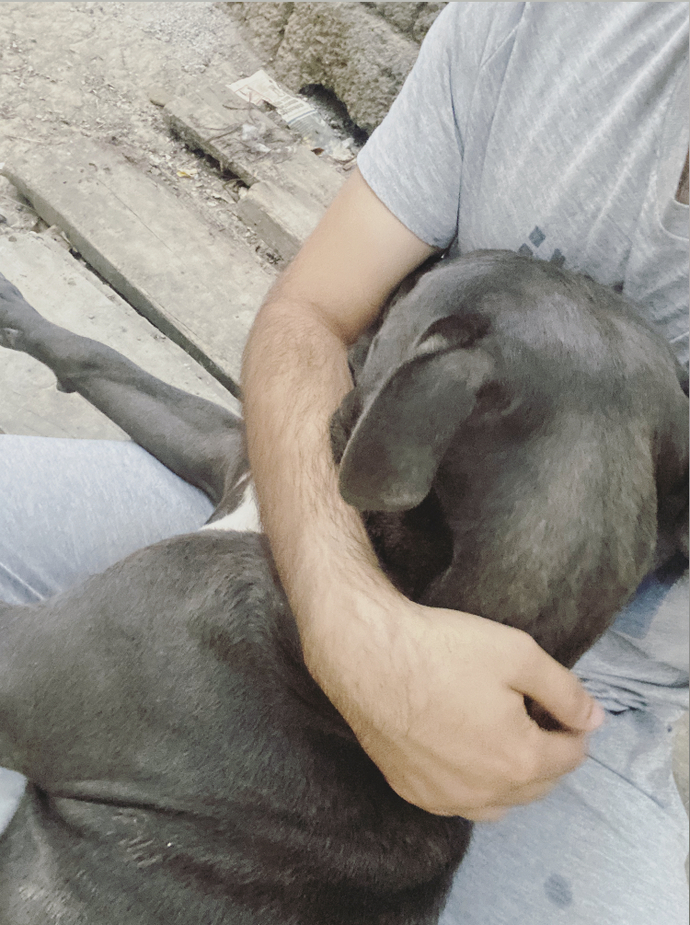 Köpeğim kucağıma almadığım için küsüyor nasıl vazgeçirebilirim😂?