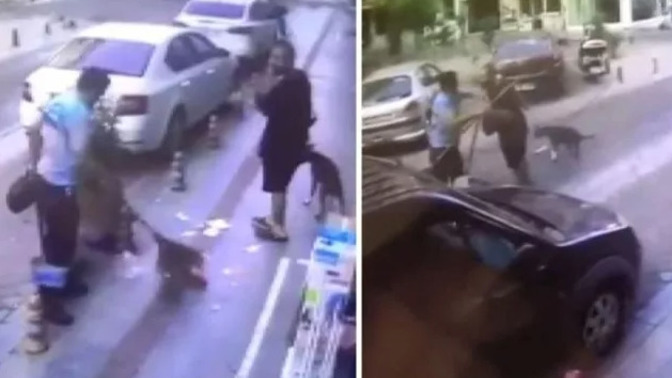 Köpeğine toz geldi diye temizlik işçisini dövdü! Magandalardan nasıl korunacağız?