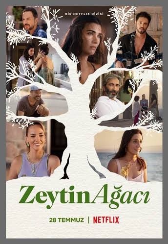 Zeytin ağacını izlediniz mi?